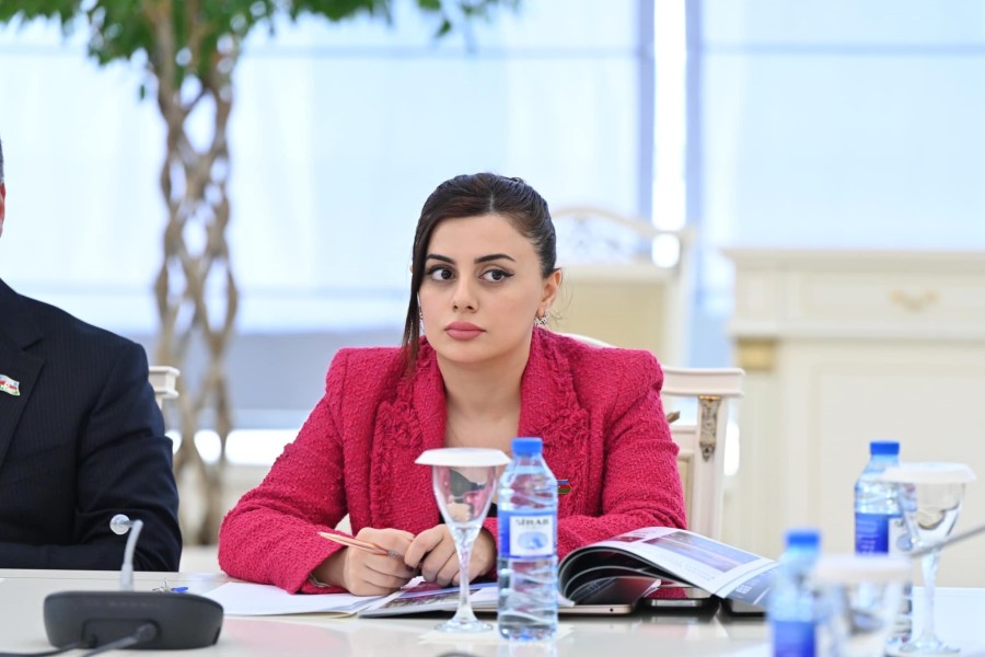 Deputat Pərvanə Vəliyeva Milli Məclisdə ilkin səhiyyə xidmətləri ilə bağlı dinləmədə təkliflərlə çıxış edib