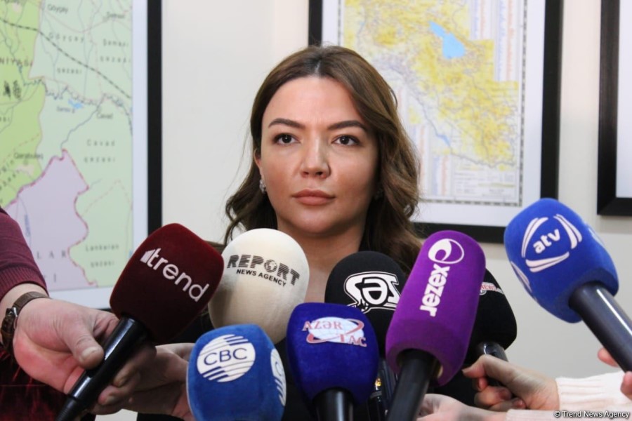 Qərbi Azərbaycanla bağlı tarix Ermənistan tərəfindən saxtalaşdırılıb - Aygün Əliyeva