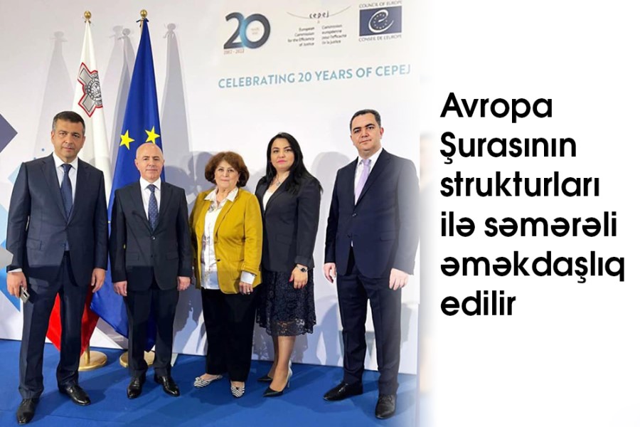 Avropa Şurasının strukturları ilə səmərəli əməkdaşlıq edilir