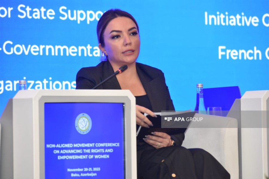 Aygün Əliyeva: Azərbaycanda QHT-lərin 39 faizi qadınlar tərəfindən idarə olunur - FOTO
