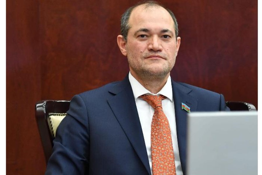 "Mülkünü girov qoyur, gedir biznesə baş vurur və batırır"- Deputat