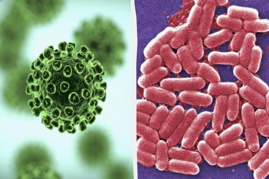 Alimlər ən aqressiv virus və bakteriyaları məhv edə bilən boya icad ediblər