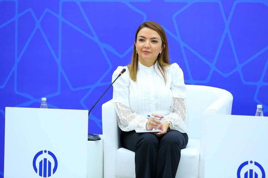 "İl boyu COP29-la bağlı müxtəlif təşəbbüslər olacaq” – İcraçı direktor