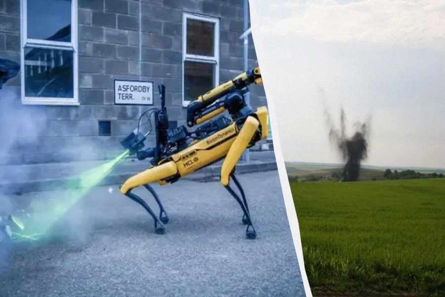 Böyük Britaniya bomba zərərsizləşdirən robot it yaradır