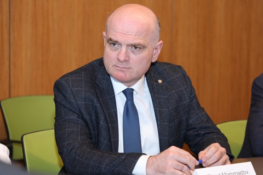 Büdcə sabitliyini möhkəmləndirən əsas amillər nələrdir? Professordan açıqlama