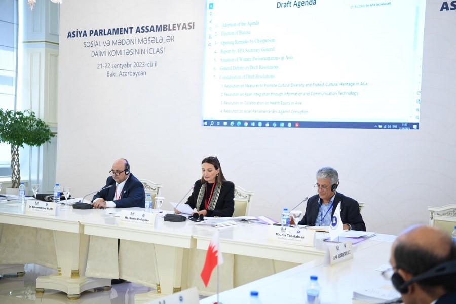 “Azərbaycan, müharibələrin əleyhinə, ədalətli sülhün lehinədir”- Qənirə Paşayeva / VİDEO