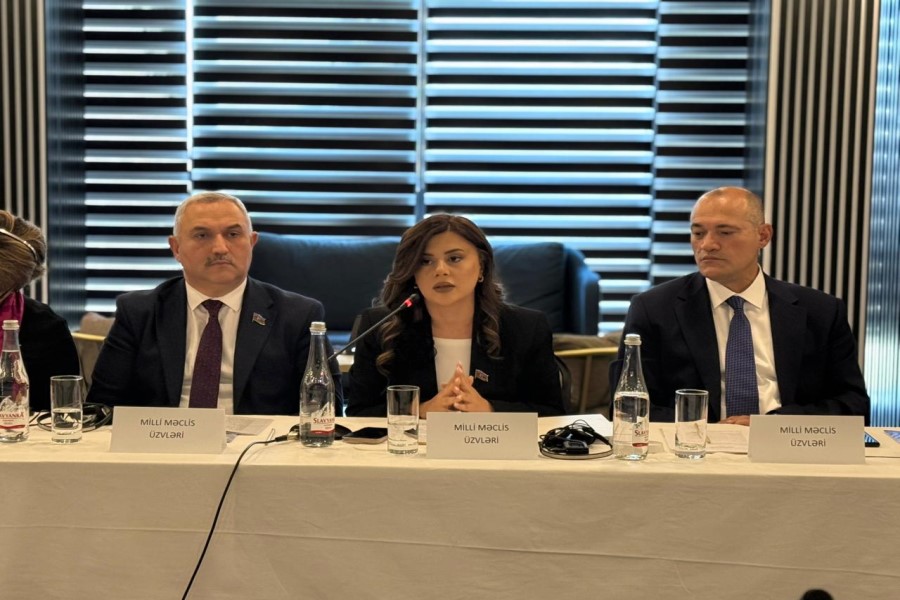 Deputat: “Ermənistan təqdim etdiyi mina xəritələri ilə təhlükəni gizlətməyə çalışır”